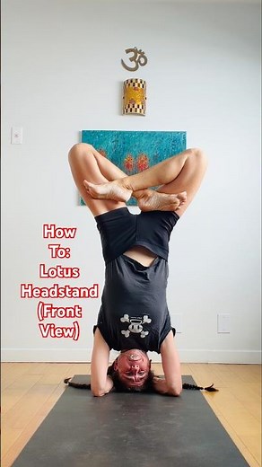 Lotus Headstand 🙃 Yoga How To (Front View)