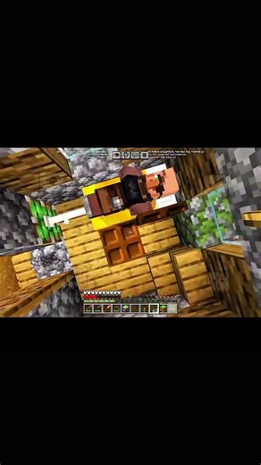 Minecraft villager troll2#minecraft