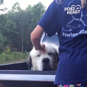 216K views · 3.3K reactions | We need more people like this  | Poke My Heart | Facebook