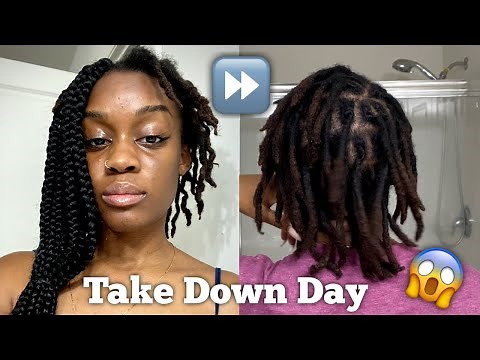 Braids Over Locs Results! Damage? Thinning? Let's Chat!