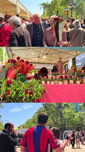 Beautiful Sant Jordi Day | FC Barcelona Celebration