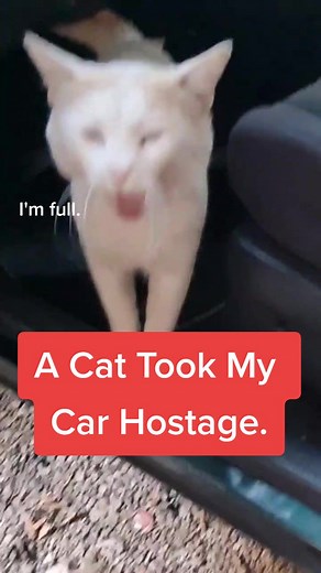 The Vet Diaries على TikTok