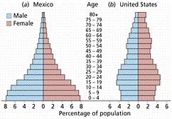 Lesson Hooks and Activities