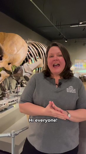 1.5K views · 26 reactions | SCIENCE SATURDAY 離 New research released in Science Advances suggests that environmental havoc due to volcanic eruptions may have pre-dated the meteorite that researchers previously thought triggered the mass extinction of the non-avian dinosaurs 秊 | Buffalo Museum of Science | Facebook
