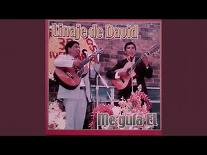 Divino Compañero