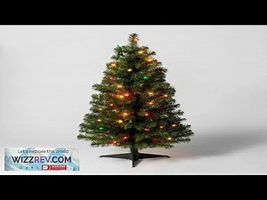 Wondershop Alberta Spruce Pre Lit 3 Christmas Tree w 50 Multicolor Lights eBay