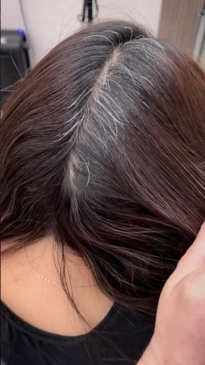 Grey Hair Fix with #GuyTang Shadow Ash 6.