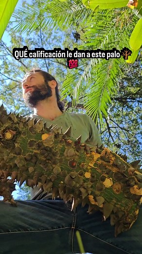 9.1K views · 40K reactions | eh | luca_galuzinski | Facebook