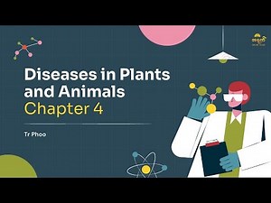 Grade 12 Biology Chapter 4 Lecture 2