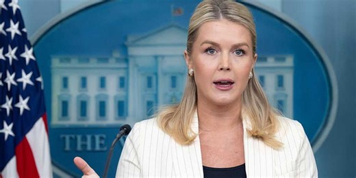 Karoline Leavitt faces backlash after five-word comment on Epstein files