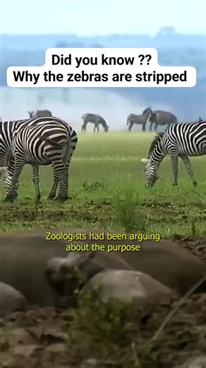 2K views · 20 reactions | In this fascinating video, discover the...