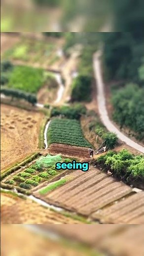 How Tilt Shift Photography Works