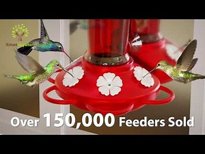 Window Hummingbird Feeder by Nature Anywhere