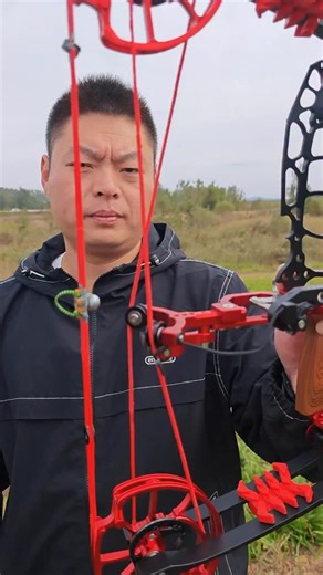 Dual-Purpose Compound Bows for arrow & steel ball.#fyp #archary #tools #outdoors #lifestyle | Battle Falcon