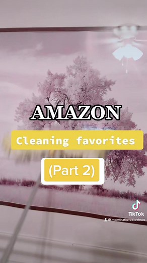 Amazon Swiffer Duster Kit Review