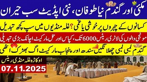 16K views · 714 reactions | Today Wheat price in punjab//گندم کا ریٹ...