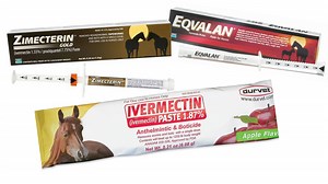 Ivermectin COVID-19 Treatment Controversy | Know Your Meme