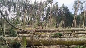 Take 3...next lot | The EGG Project