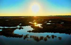 Ria Formosa Natural Park ‹ Tourist Attractions ‹ Tavira Guide