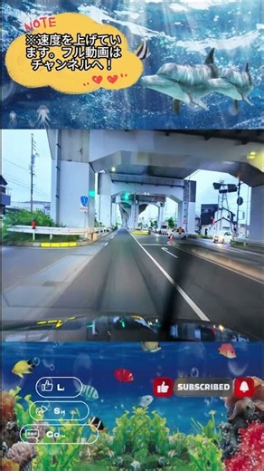 Drive & Listen 🇯🇵 A Drive That Clears Your Mind #shorts #Japan #Driving #4K