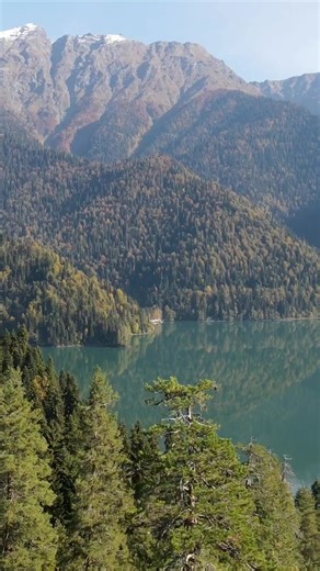 Variables. Los miedos de programar , son los mismos que tienes al amar. 💻