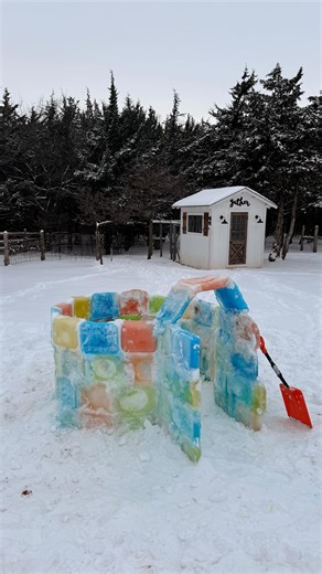 Alison Self on Instagram: "The snow from this storm was impossible to make a snowman with, but the temperatures were PERFECT for an igloo ❄️ I’m hoping we made a core memory for these kiddos this weekend 🥹 #igloo #winterstorm2026 #snowactivities #winteractivities #oklahoma"