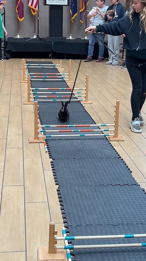 Montgomery County Community College on Reels