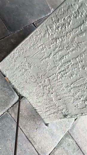 Crazy Black Ants getting Evicted with Dust from their Nest