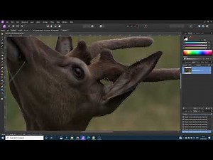 Affinity Photo - Basics of Layers Masks and Selections