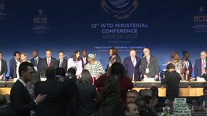 WTO seals global trade deals at last minute
