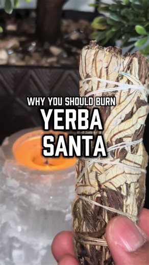 Transform Your Love Life with Yerba Santa Magic