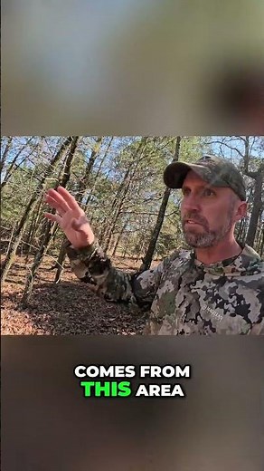 Effective Deer Scouting - Feeding Areas and Trails #shorts