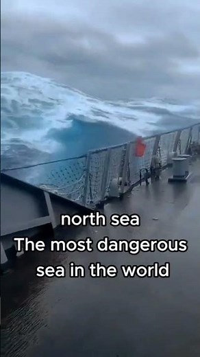 You Won't Believe the Size of These North Sea Waves! #viral #ocean #waves #sea