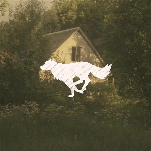 The boxer Quick fox animation using procreate #procreate #theboxer #simonandgarfunkel #mixedmida #fox