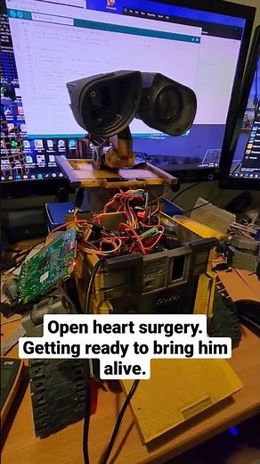 Final calibration for DIY Wall-e