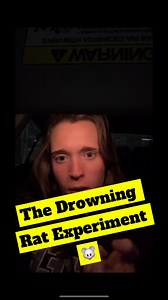 52K views · 1.7K reactions | Drowning Rat Experiment #doctor #pharmacist #pharmacy #psych #psychology #rat #experiment #science #biology #hope #perseverance #fight #swim #live #animal #study #wild #pet #tired #burntout #quit #learn | Dr. Kati Forbes, PharmD, RPh | Facebook