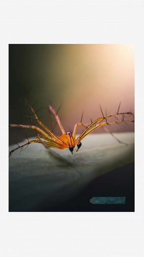 DSLR Style Camera App for Android