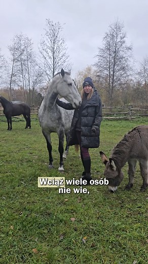 Poznaj 6 popularnych mitów o koniach 🐴 Przykłady wzięły się z często zadawanych pytań w naszej stajni 😊👩🏼‍🏫 #faktyokoniach #mityokoniach #konie #stadninakoni #stadninakoniwnowejwsi #pasjadokoni