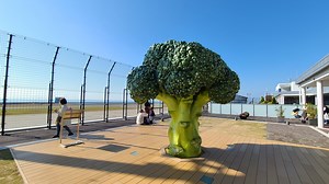 【神戸市中央区】神戸空港にミニチュアの世界が！巨大ブロッコリーはインスタ映え必至！搭乗前に寄ってみて（斎信夫（いつき））