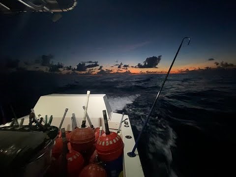 Commercial Handline Swordfishing Billfish Republic