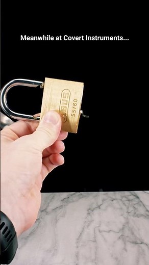 Professional Lock Picking by Professionals