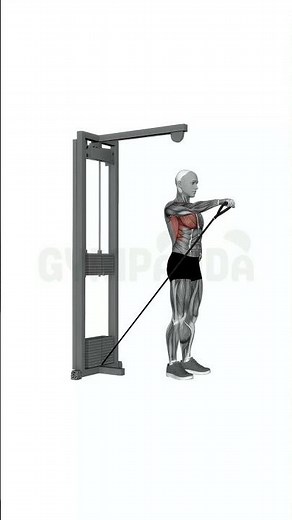 Standing Cable Chest Fly - Perfect Form Guide #shorts
