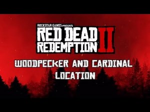 Rdr2 - Woodpecker and Cardinal Location