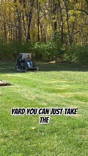 I Tested The Ultimate Grass & Leaf Bagging Mower