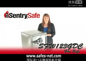 北京上海天津美国Sentry善卫牌进口防火保险箱进口保险柜
