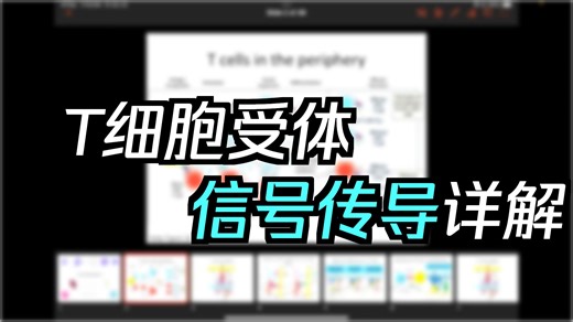 Immunology Fall 2025： Lecture 22 T cell Activation [YjHlmr3OXIc]