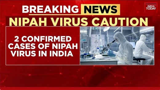 Sneha Mordani reports: WHO confirms 196 contacts test negative for Nipah virus in India