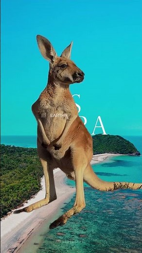 Australia Luxury Travel Guide: Iconic Highlights 🇦🇺