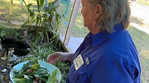 Environmentalist advocates for environmental education in classrooms