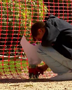 15K views · 290 reactions | “She always had a smile on her face…she was a very beautiful soul.” A friend of the 22-year-old who was tragically killed when a tree branch snapped in North Adelaide yesterday has given an emotional tribute. #9News FULL DETAILS: https://nine.social/xTA | 9 News | Facebook